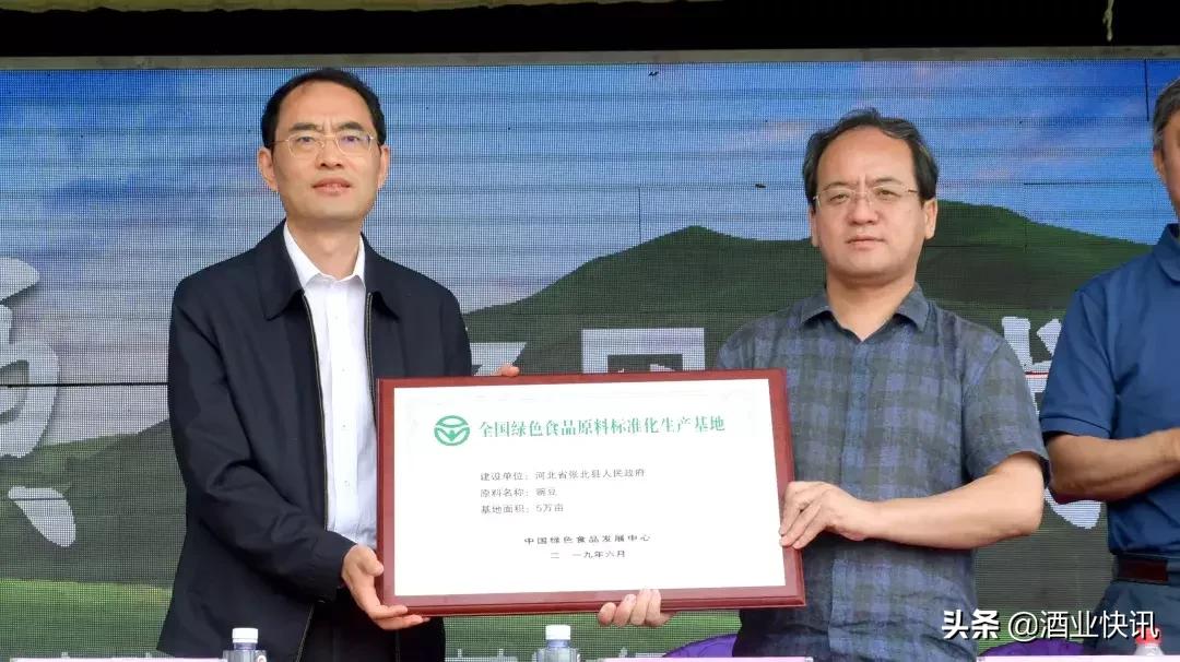 一颗麻豆豆,绿动汾酒