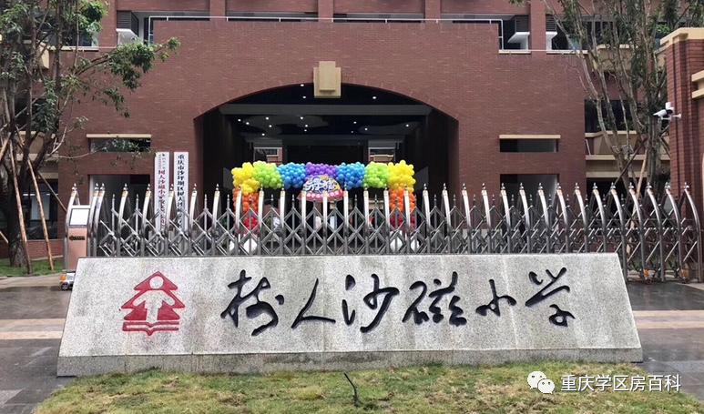 树人小学到底有多少分校,重庆市树人小学有几个分校