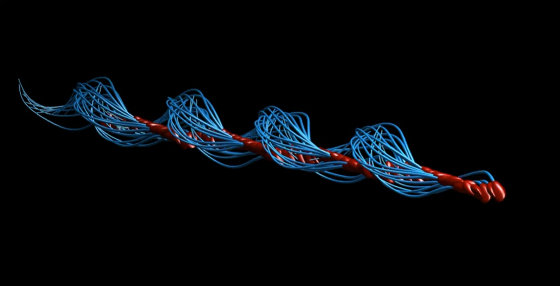 错了340年，精子游泳的方式并不是左右摆动尾巴