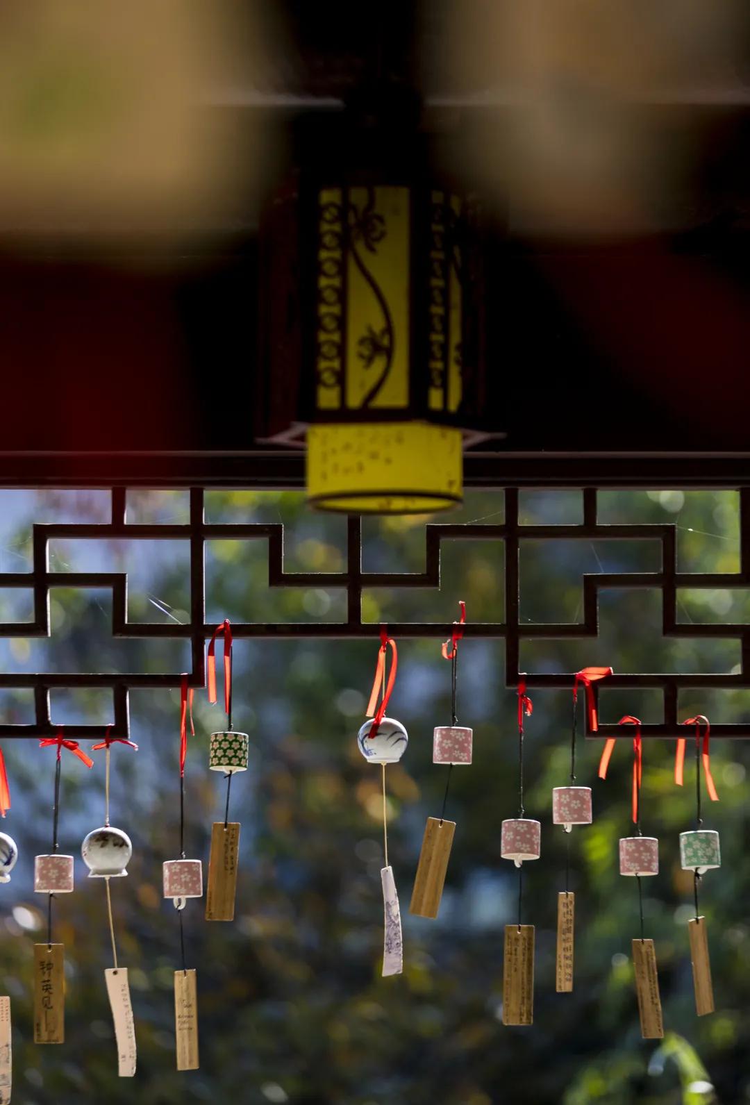 最美的风景美丽的校园,最美的风景就是校园