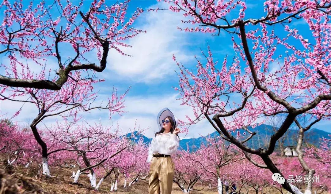 铅山县葛仙山,去葛仙山攻略