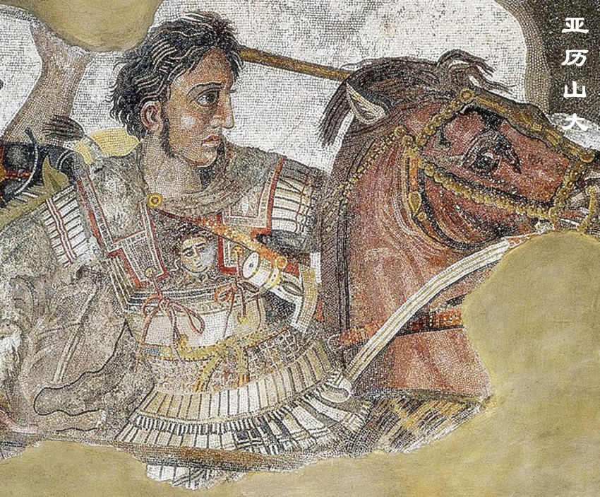 马其顿王朝有多强,马其顿帝国有多强