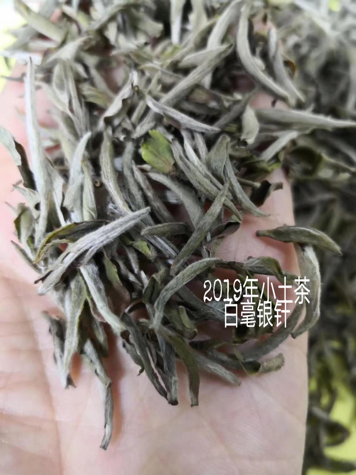 寿眉贡眉哪个煮的好喝,白茶排名牡丹贡眉寿眉