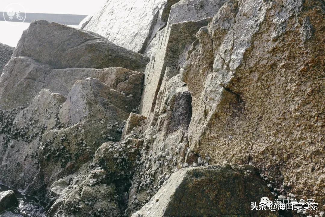 海南万宁兴隆美食攻略,海南万宁兴隆镇有什么特色小吃