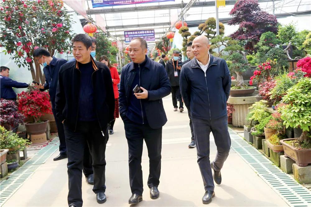 中国沭阳国际花木城在哪个城市,沭阳花木城的发展