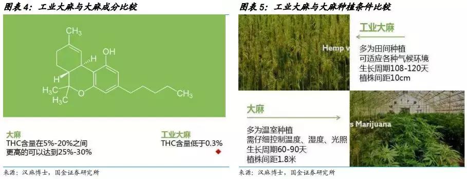 工业大麻素研究成果,工业大麻素研究