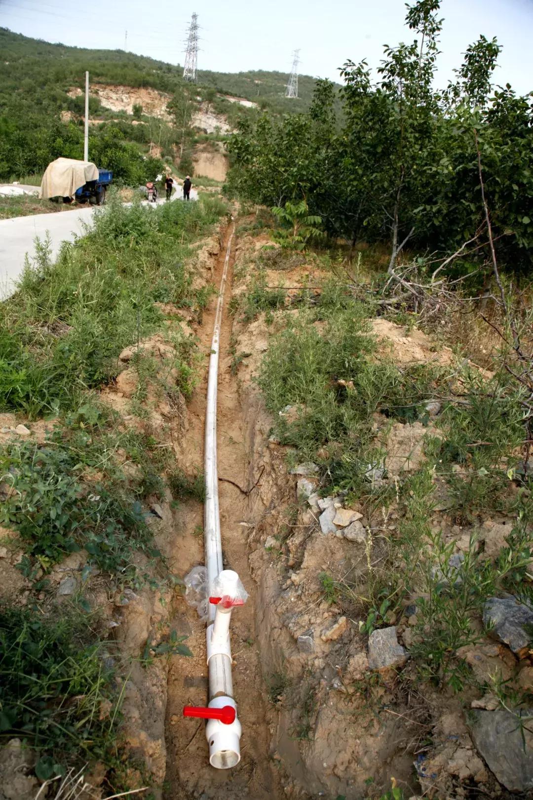 井陉县创业代理,井陉县加盟项目