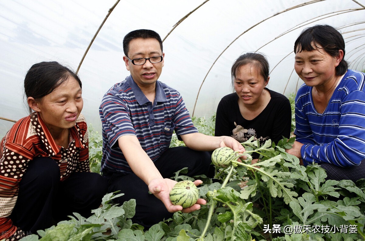 液体氮肥适用于所有植物吗,液体氮肥是碱性还是酸性的