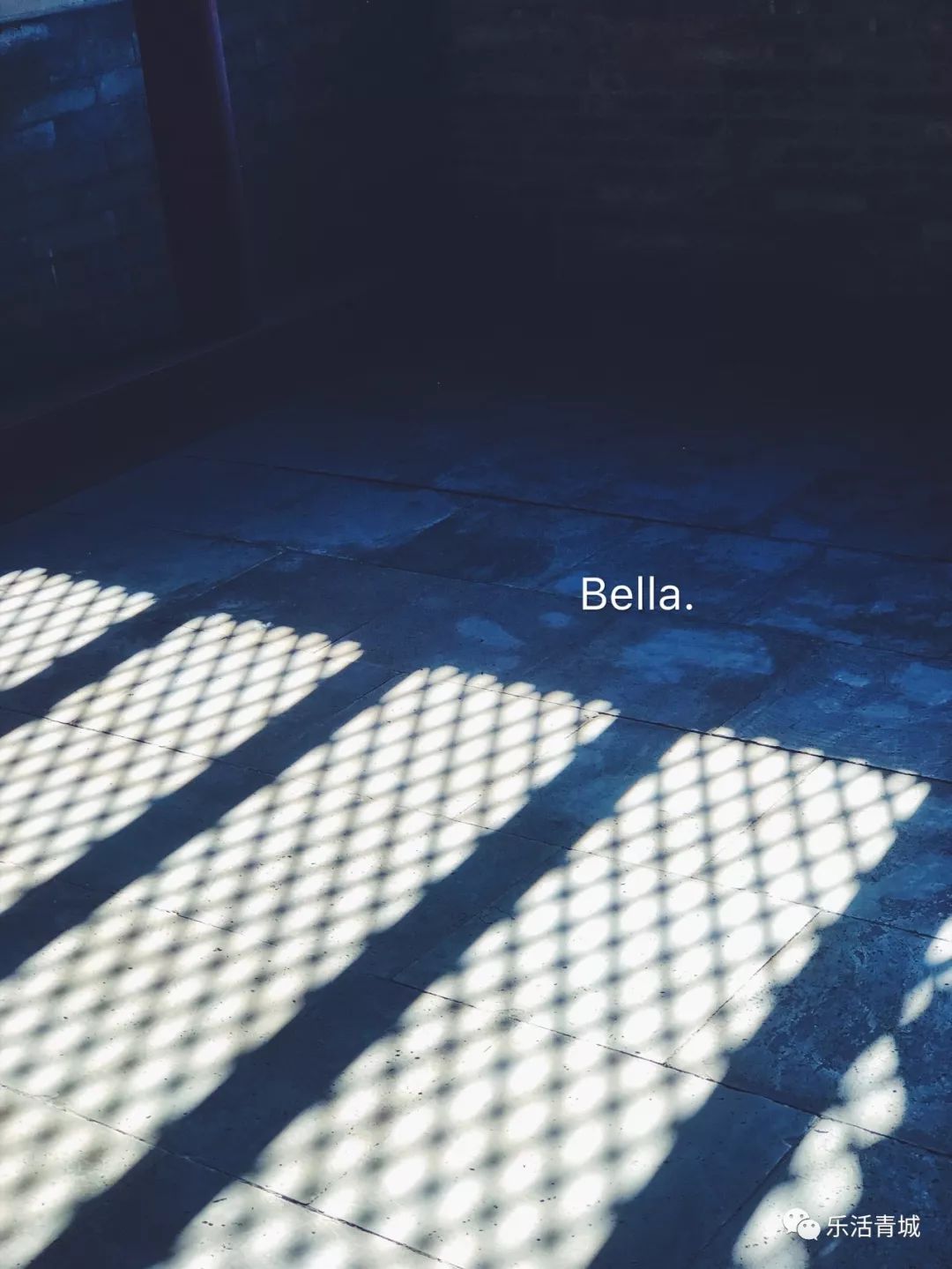 贝拉专访合集,贝拉专访完整版