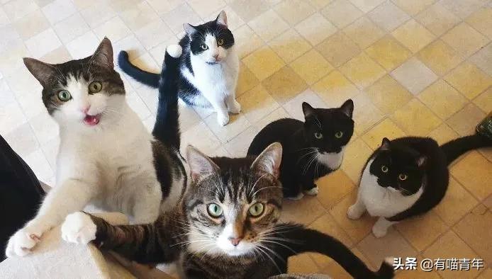 24岁男子喜当爹去派出所,90后男子相亲被误当爹