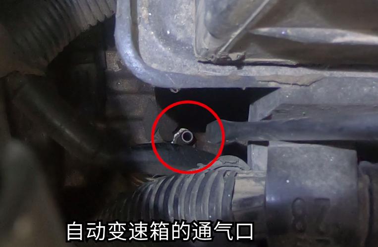 车在水里开了以后吱吱响,车在水里熄火了以后有啥影响