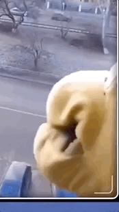 宅家无聊自嗨起来,宅家自娱自乐大赛