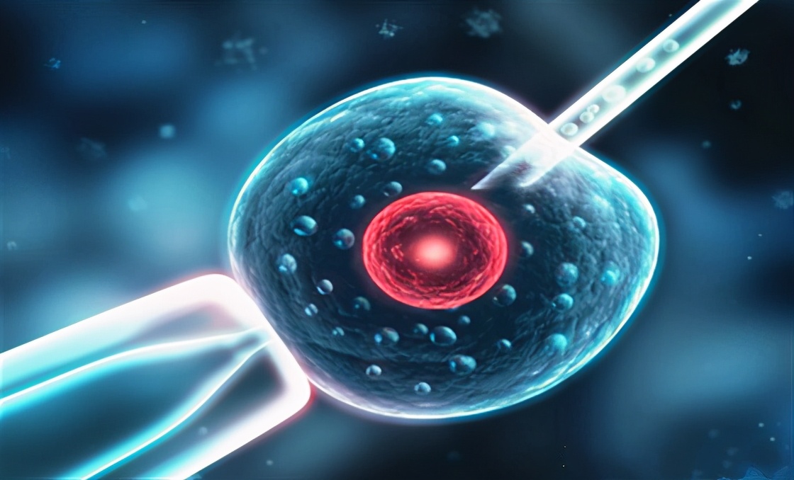 试管移植后紧张焦虑怎么办,移植后打游戏紧张影响着床吗