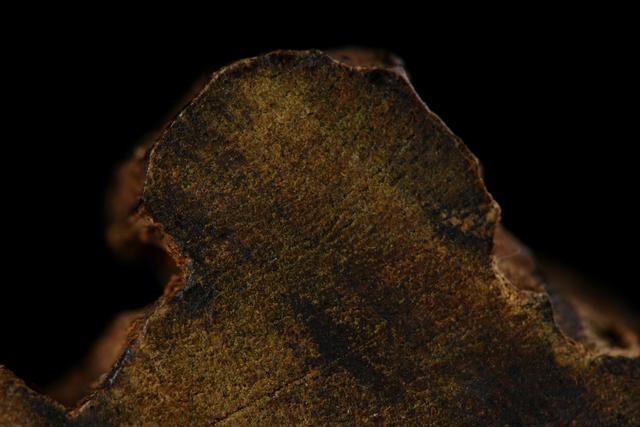 沉香分类及区别大全,沉香的种类与区别