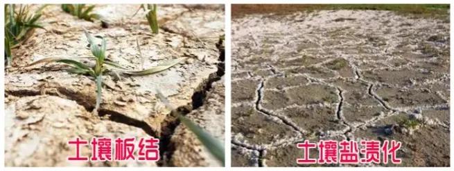 矿源黄腐酸钾水溶肥水产用,矿源黄腐酸钾复合肥肥效期