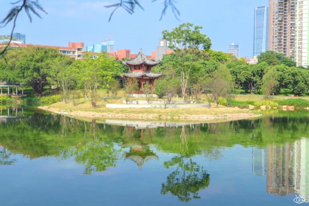 深圳免费景点好玩排名,深圳这些新公园免费玩