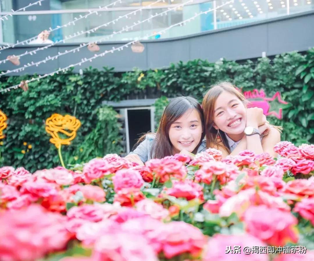 过分美丽!圣诞灯饰点亮香港:泰迪熊、比卡超、布丁狗陪你过圣诞