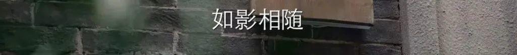 国产剧翻拍无理的前进,那些被翻拍的国剧