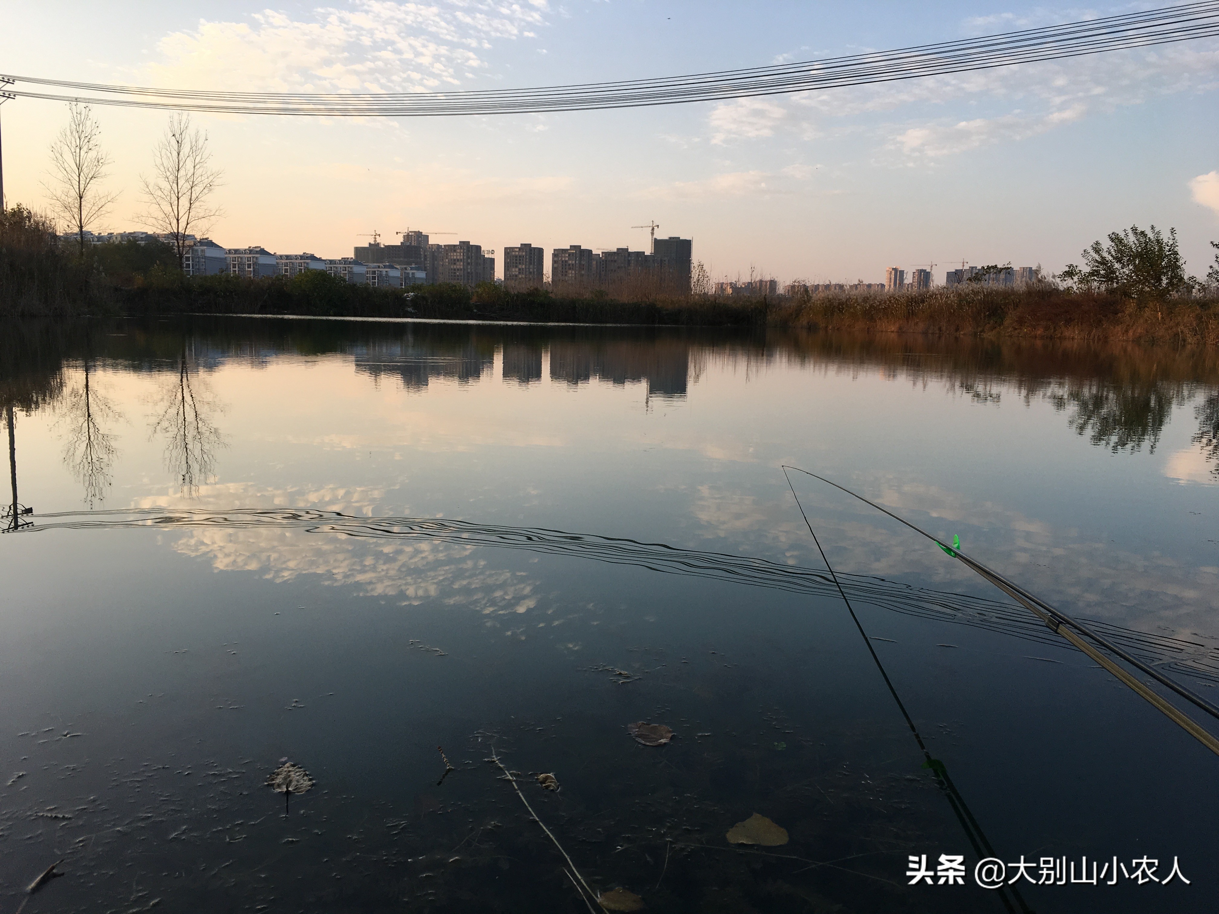 雨后水体浑浊适合钓鲢鳙吗,水体肥怎么钓鲢鳙