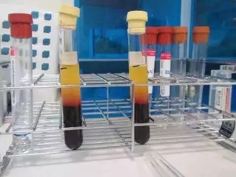 景甜倪妮同台2019年,倪妮景甜最新消息