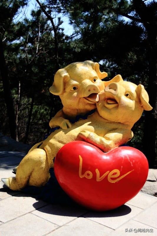 大连滨海路的美景之旅,大连海滨路旅游攻略