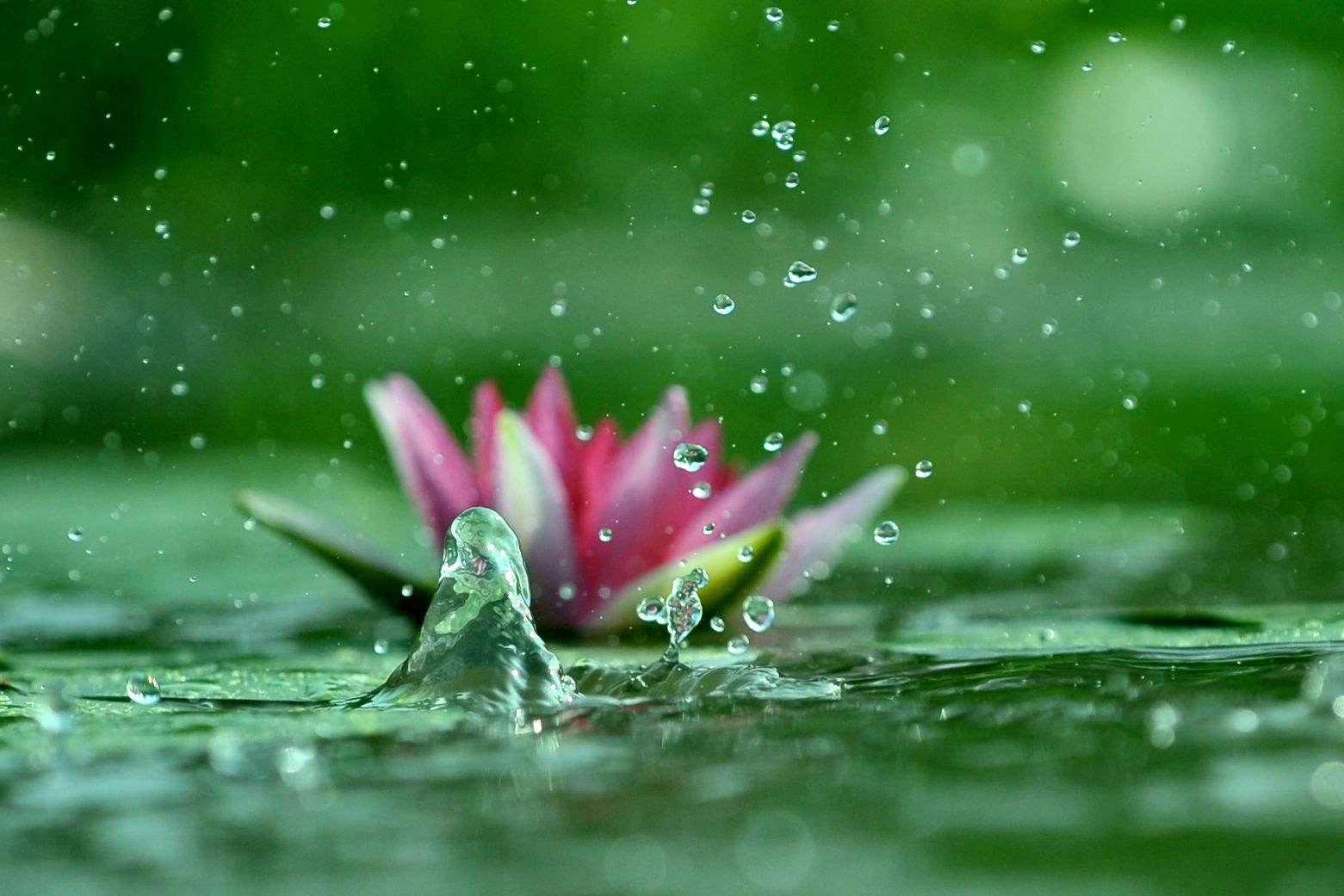 世上本无事庸人自扰之的唐诗,这三首唐诗写尽了人生的变幻