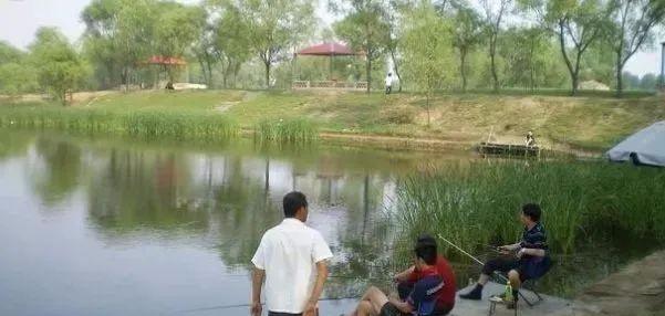 养殖业什么最赚钱农村2020年的,农村养殖业什么最好养比较赚钱