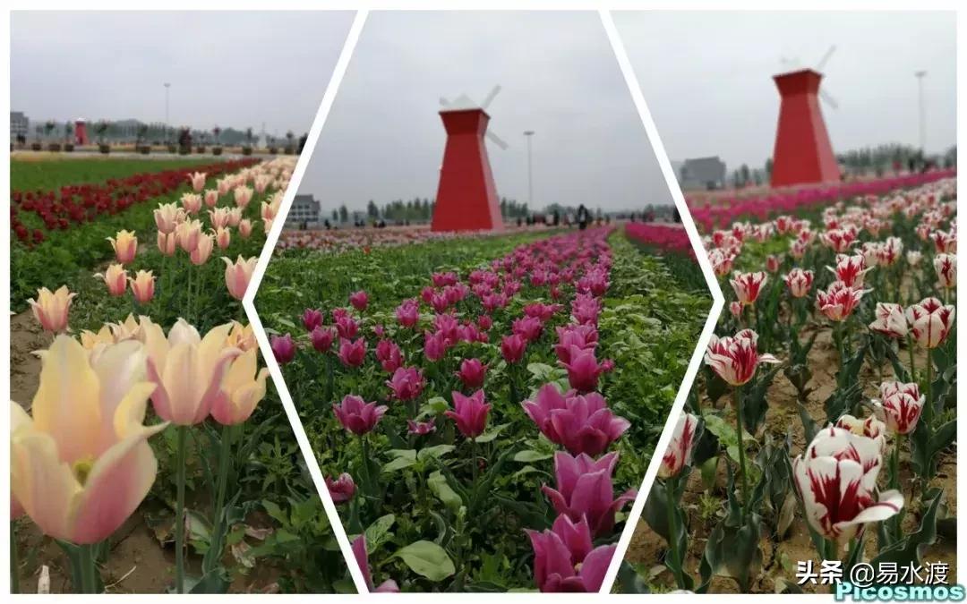 易县好玩,易县谢村文化广场五一