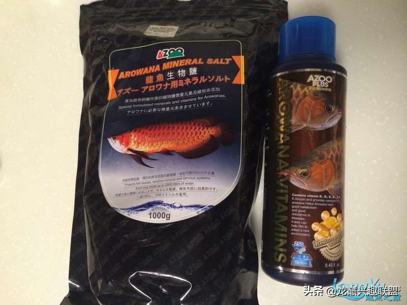 手把手教你做龙鱼最强营养秘方食谱--鲜虾牛肉狮子头,别馋哈