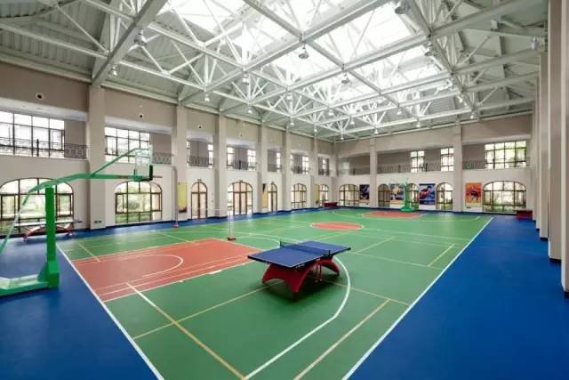 乌镇雅园养老项目排名,绿城乌镇雅园养老小镇运营模式