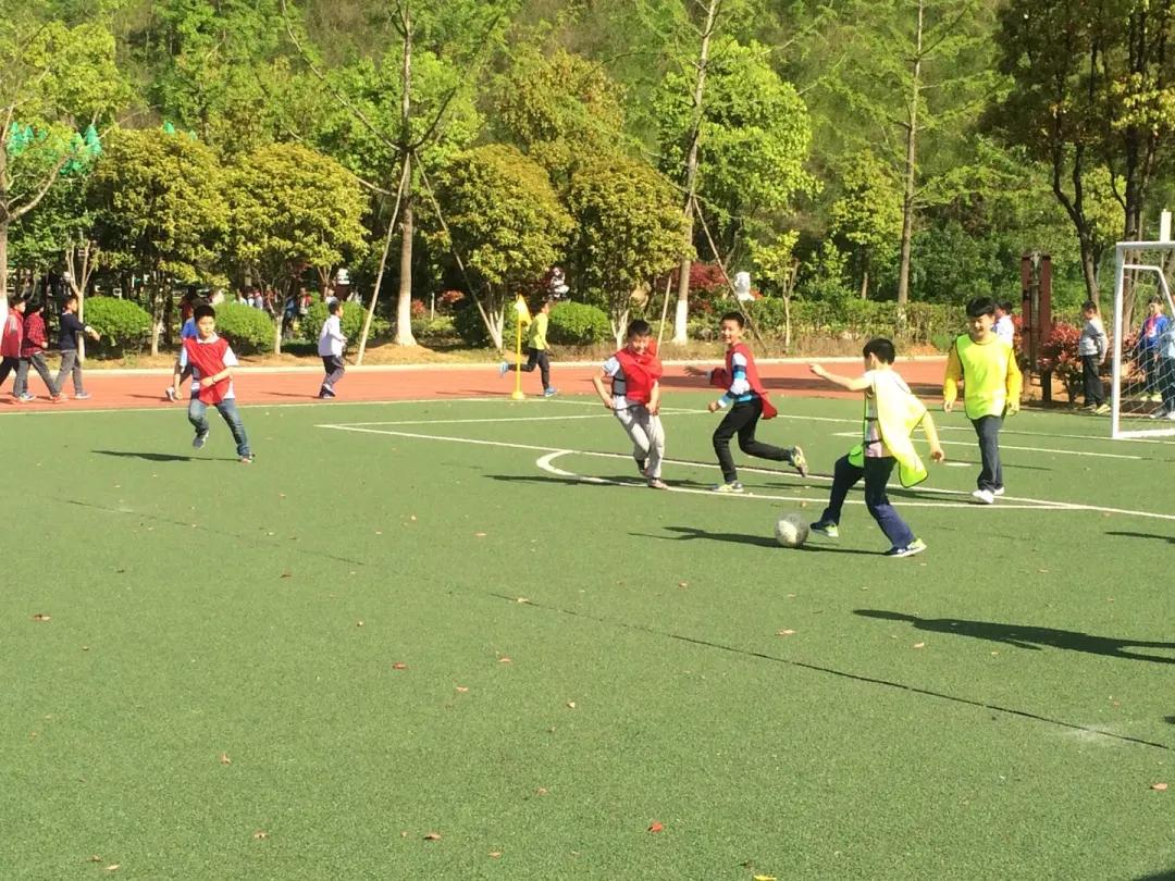 南京市金陵小学简介,南京市金陵小学多少个班