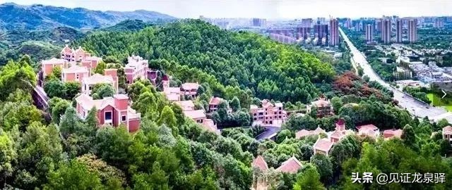 四川省NO.1!龙泉驿凭什么能获全国绿色发展百强区?背后竟藏着这样的秘密~