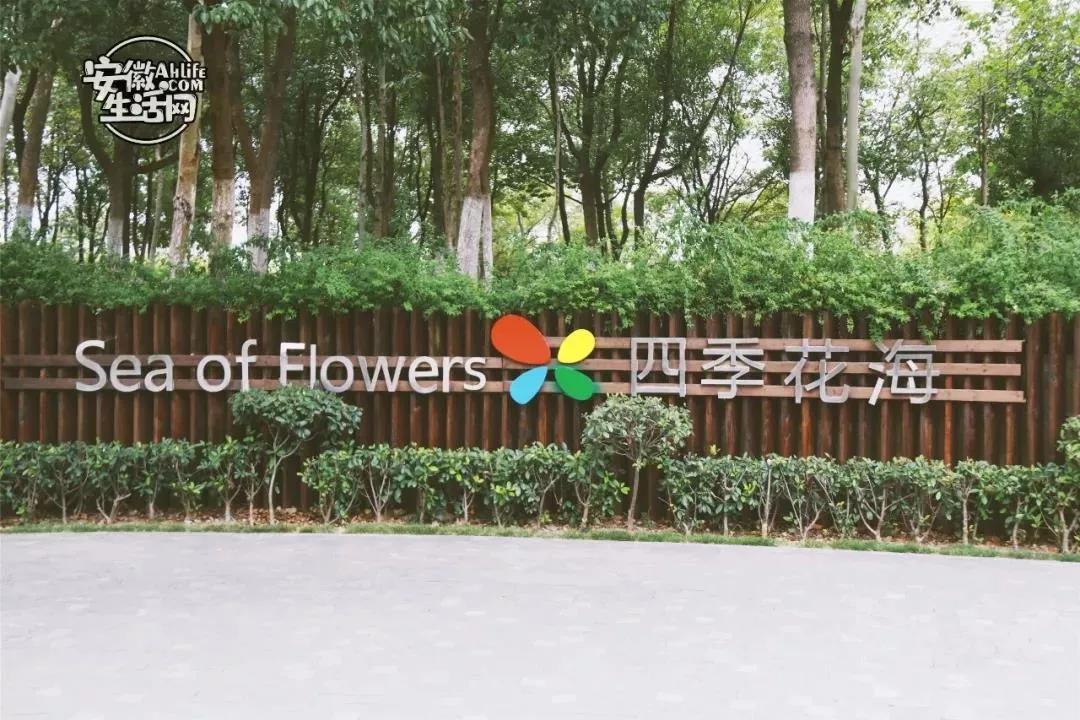 在你眼中的安徽人怎么样,合肥一座满是故事的城市