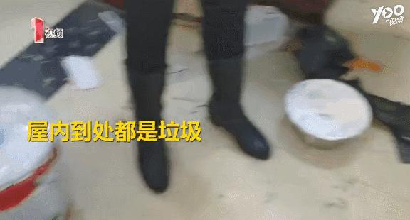 房子租给年轻人的后果,房子租给单身小伙一年多