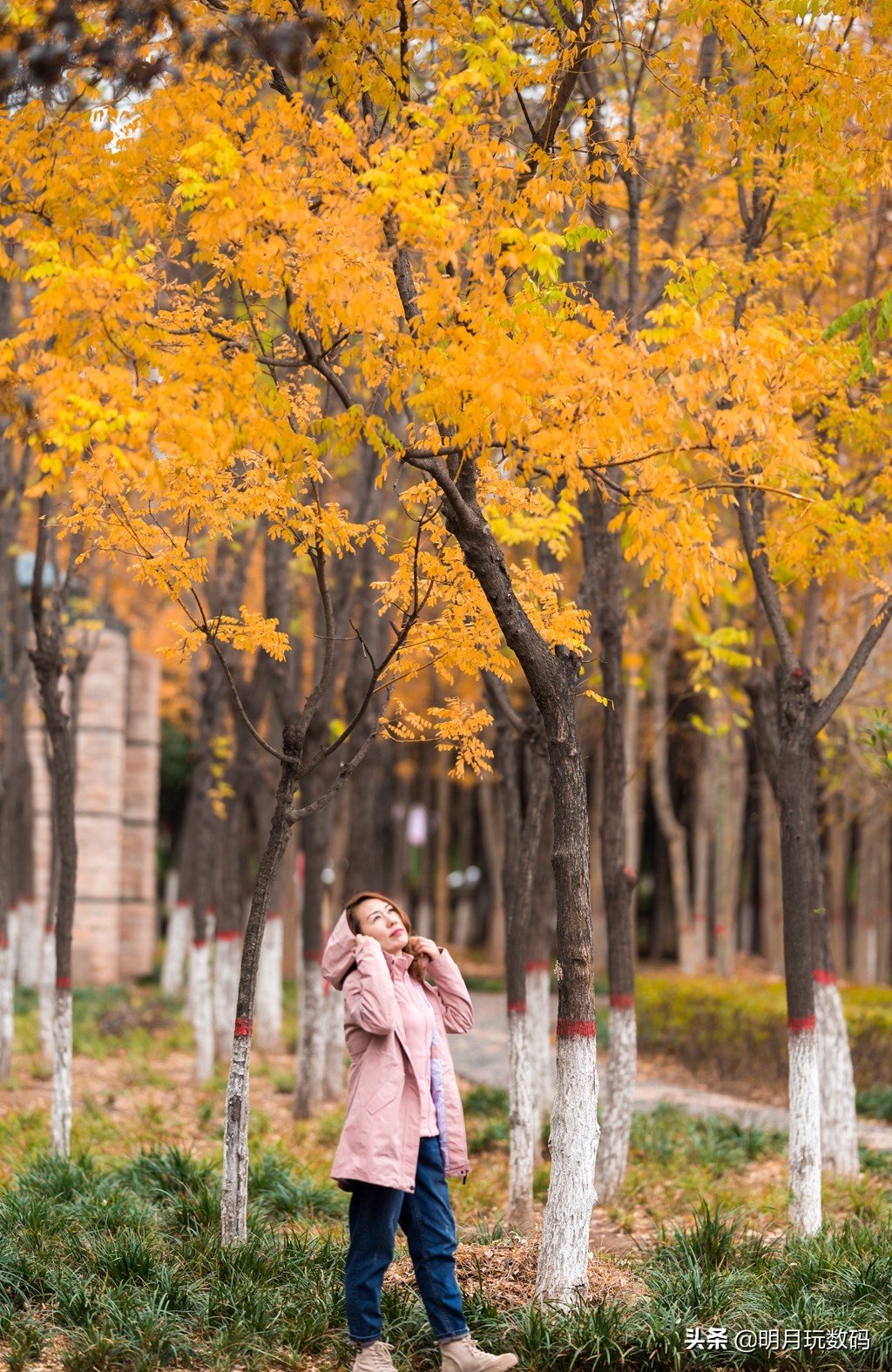 什么冲锋衣时尚好看,冲锋衣高级感秋冬时尚