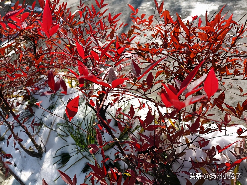 过年洗被子会怎么样,过年洗被子说法
