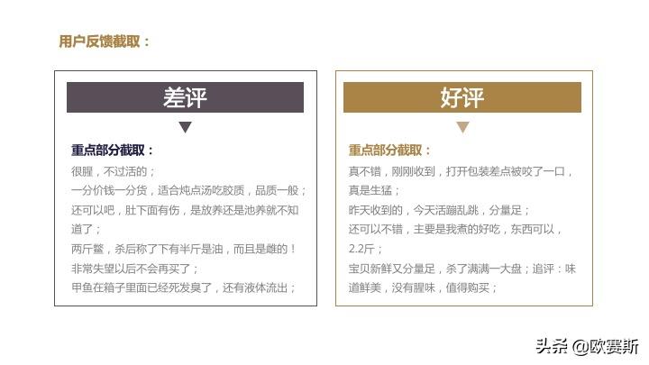 欧赛斯带你全方位洞察甲鱼市场发展趋势及竞争格局