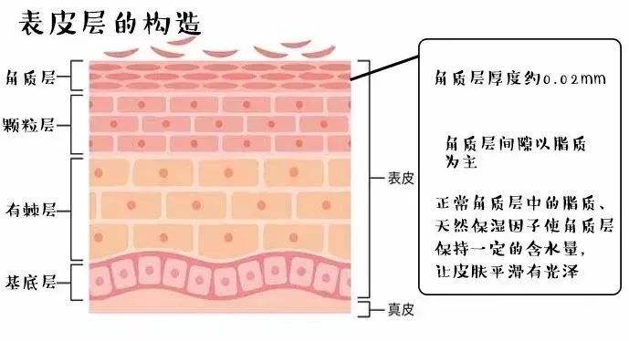什么叫角质化怎么解决,皮肤角质薄怎么去角质