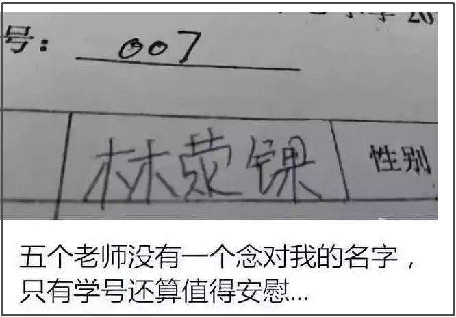 扎堆叫梓涵视频,为什么这么多人叫梓涵