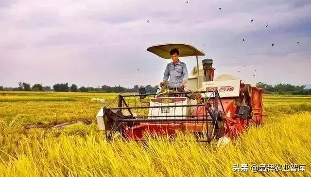 变态的日本农业:敬畏自然、超前思维、死磕单品!