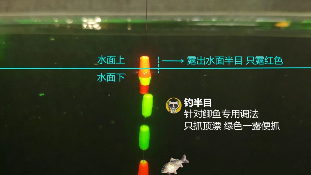 逗钓实操调漂技巧图解大全,钓鱼传统钓法是怎么调漂的