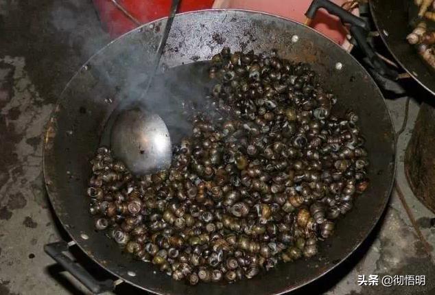 江阳区好玩的地方景点,泸州江阳区好玩景点排名