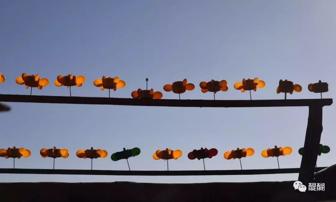 *藏西**隐秘修行圣地：她们悲伤的身世里，为何盛满慈悲？