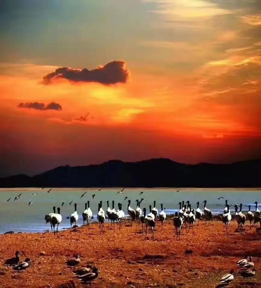 大山包风景区最新视频,太平国家森林公园有什么玩的