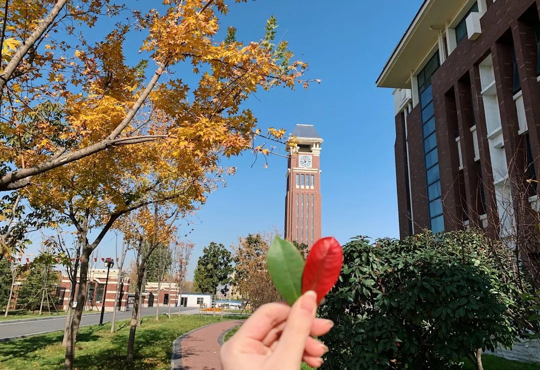 英迪国际学校音乐班,英迪国际大学硕士