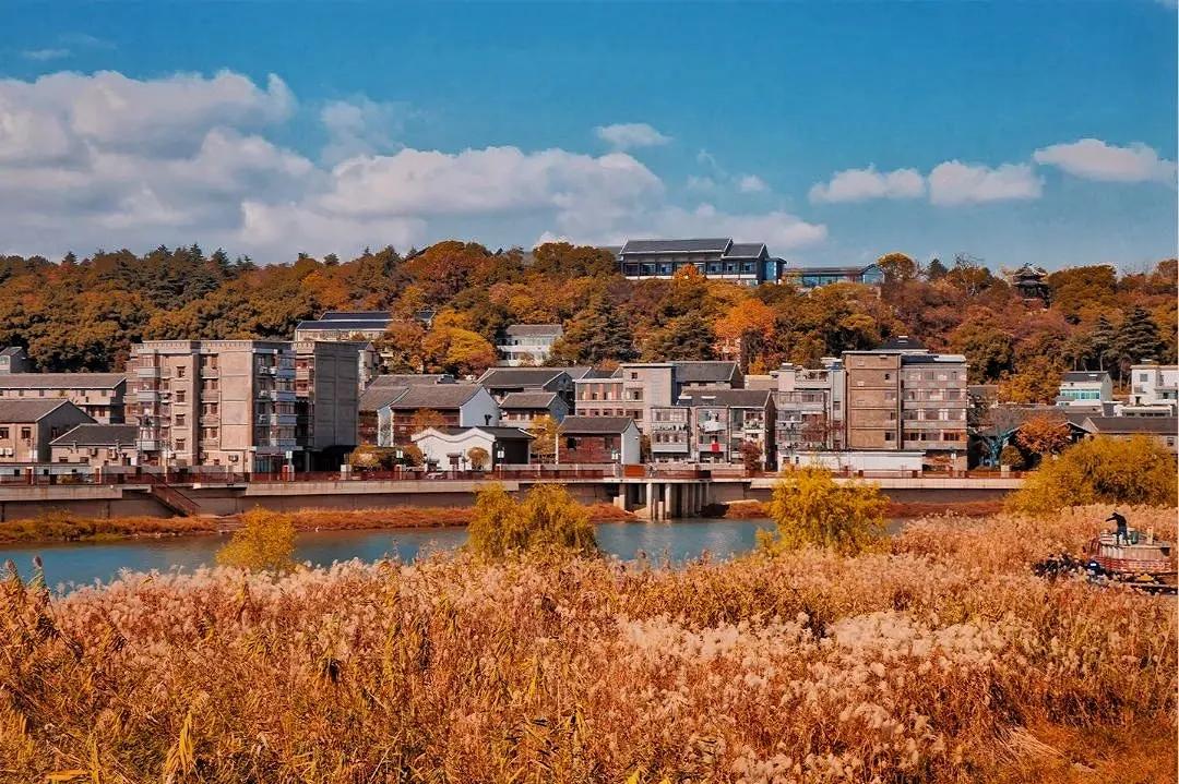 秋天杭州冷门但好看的景点,杭州赏秋景最好的地方