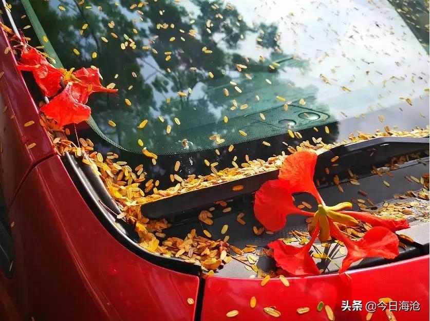 厦门高中2019-2022年本一率,厦门各校2022普高录取率