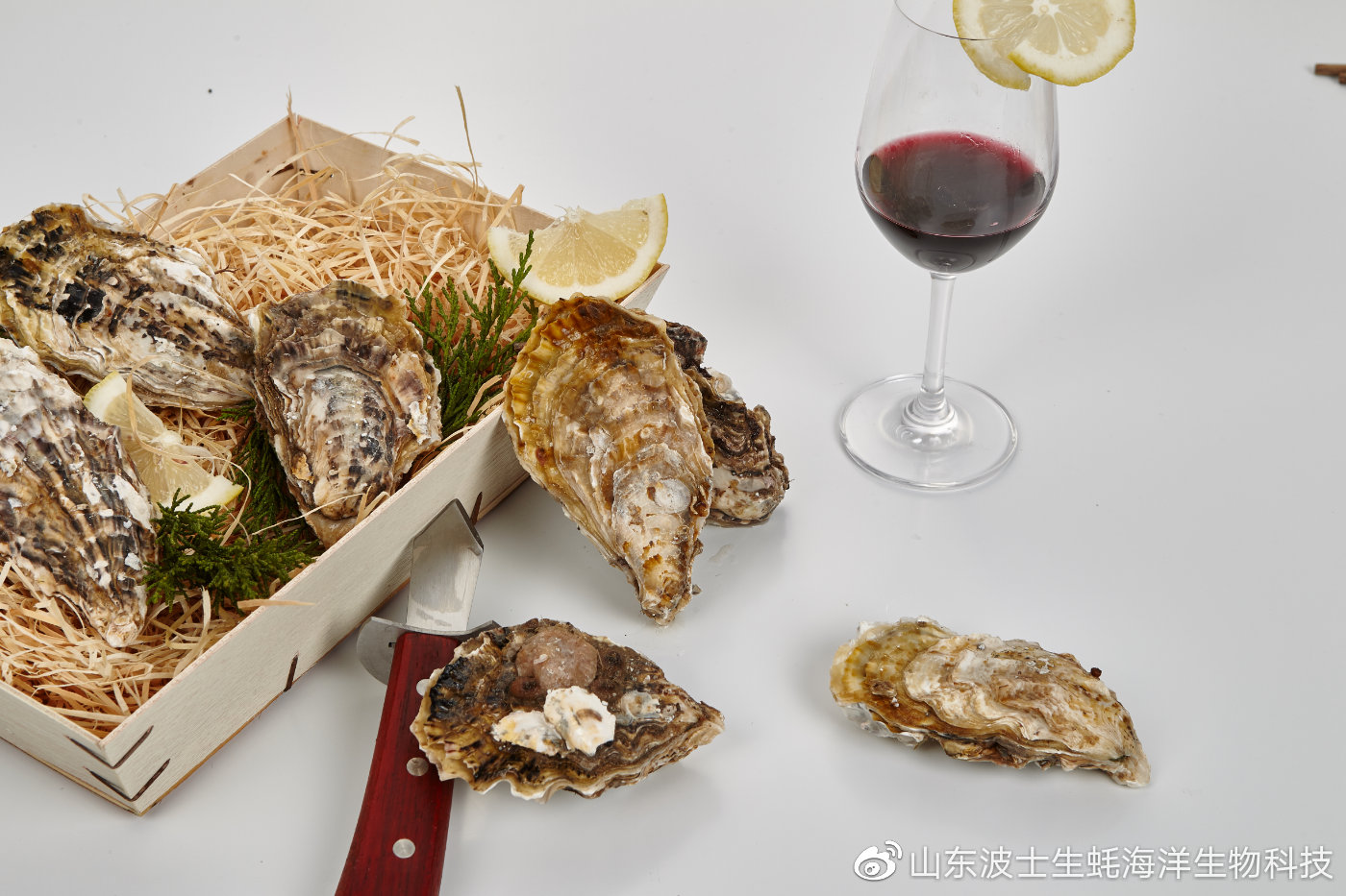 生吃生蚝怎么预防寄生虫,生蚝里的寄生虫吃什么药