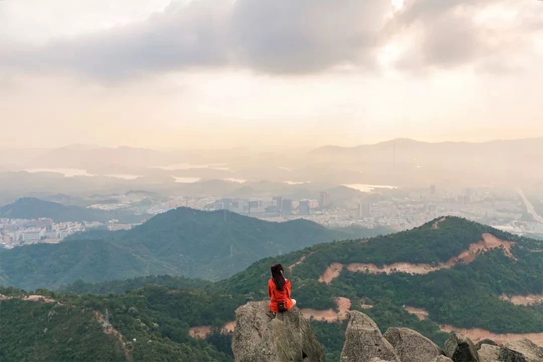 坐一趟4号线，打卡深圳19个热门游玩地！