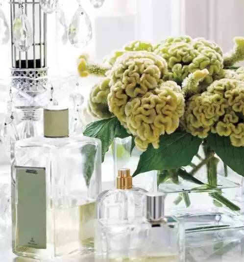 鲜花插花技巧专业术语,插花常见鲜花名称大全